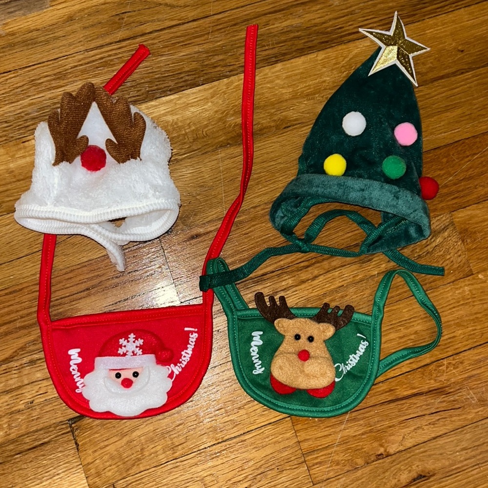 Dog/cat Christmas hat and bib